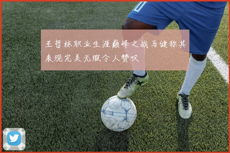王哲林职业生涯巅峰之战马健称其表现完美无瑕令人赞叹